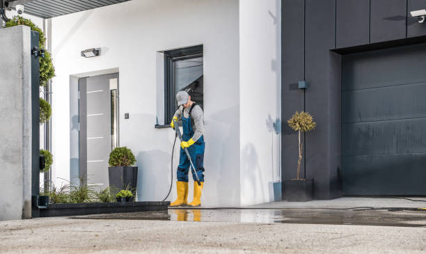 Best Roof Washing  in Mauriceville, TX